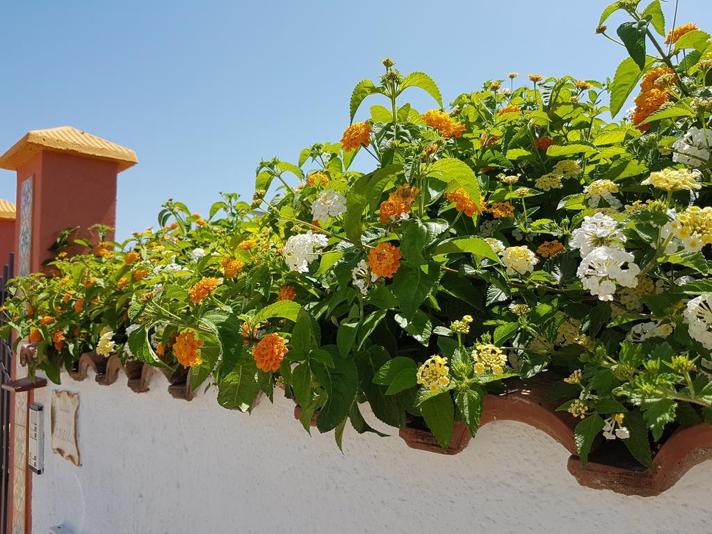 Villa Rosella ชากกา ภายนอก รูปภาพ